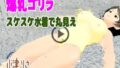 d 659748pl
