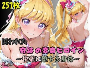 【R-18】囚われた奇跡の変身ヒロイン 〜快楽に堕ちる身体 3〜【無料試聴】 33 d 661137pl