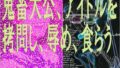 d 662079pl