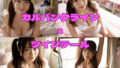 d 662677pl