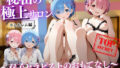 d 663023pl