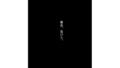 d 663341pl