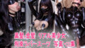 d 663727pl