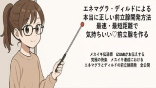 d 666205pl