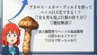 d 666712pl