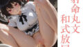 d 666764pl