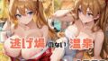 d 667158pl