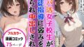 d 667412pl