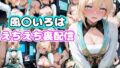 d 667741pl