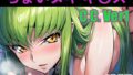 d 667941pl