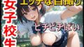 d 670351pl