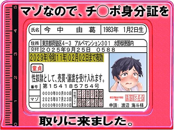 d 672534pl
