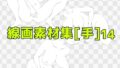 d 672995pl