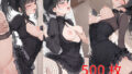 d 674401pl