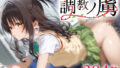 d 590309pl