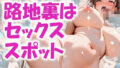 d 667814pl