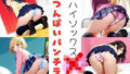 d 671657pl