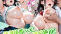 d 675665pl