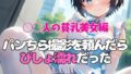 d 675667pl