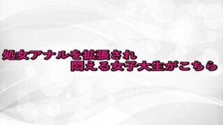 d 676348pl