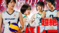 d 678114pl