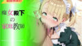 d 678281pl