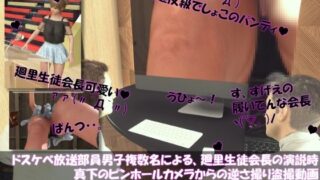 d 678355pl