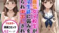 d 678379pl