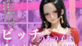 d 679111pl