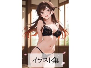 d 679217pl