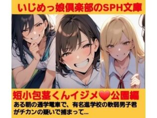 いじめっ娘倶楽部のSPH文庫 短小包茎くんいじめ 公園編 ある朝の通学電車で、有名進学校の軟弱男子君がチカンの疑いで捕まって…【無料試聴】 29 d 680100pl