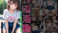 d 682834pl