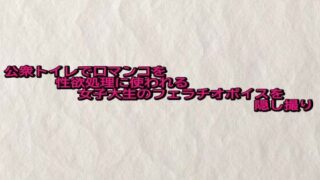 d 683758pl