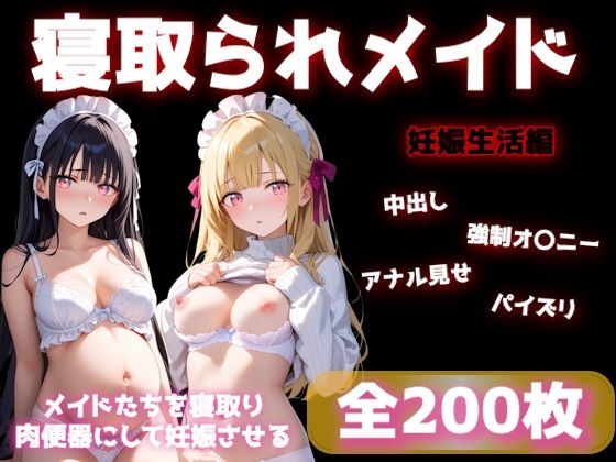 寝取られメイドの妊娠生活【無料試聴】 27 d 684123pl