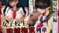 d 685868pl