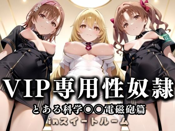 スイートルームVIP専用性処理係──快楽提供ルームサービス。 とある科学の超電磁砲編【無料試聴】 27 d 686595pl