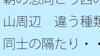 d 689767pl