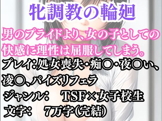 突然美少女にされた俺 牝調教の輪廻【無料試聴】 27 d 691208pl