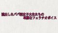 流出したパパ活女子大生たちの卑猥なフェラチオボイス【無料試聴】 34 d 691723pl