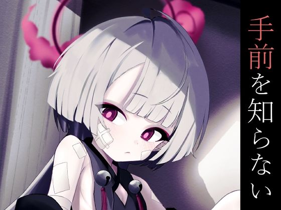 手前を知らない【無料試聴】 27 d 692734pl