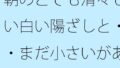 朝のとても清々しい白い陽ざしと・・まだ小さいがある日常か過去かはっきり分からない邪念の残り香【無料試聴】 34 d 703091pl