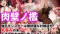 肉壁ノ檻 触手モンスターは無防備な村娘達を丸呑みの末、永遠の快楽地獄へ堕としていく【無料試聴】 35 d 706955pl