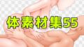 体素材集55【無料試聴】 35 d 604108pl