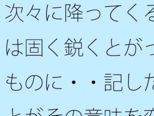 d 753337pl
