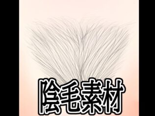 d 759947pl