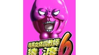 d 598313pl
