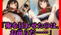 d 757335pl