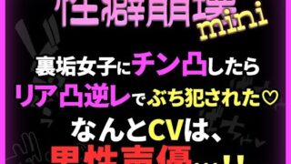 d 762933pl