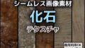 化石のテクスチャ/シームレス画像素材〜商用成人利用OKの著作権フリー【無料試聴】 36 d 773305pl