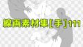 d 774034pl